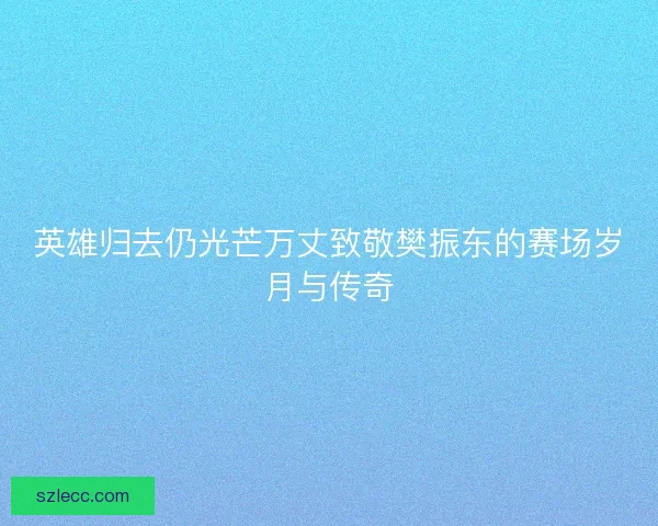 英雄归去仍光芒万丈致敬樊振东的赛场岁月与传奇