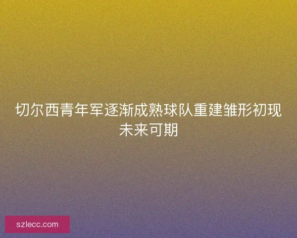 切尔西青年军逐渐成熟球队重建雏形初现未来可期