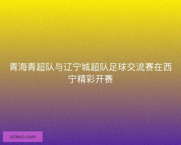青海青超队与辽宁城超队足球交流赛在西宁精彩开赛