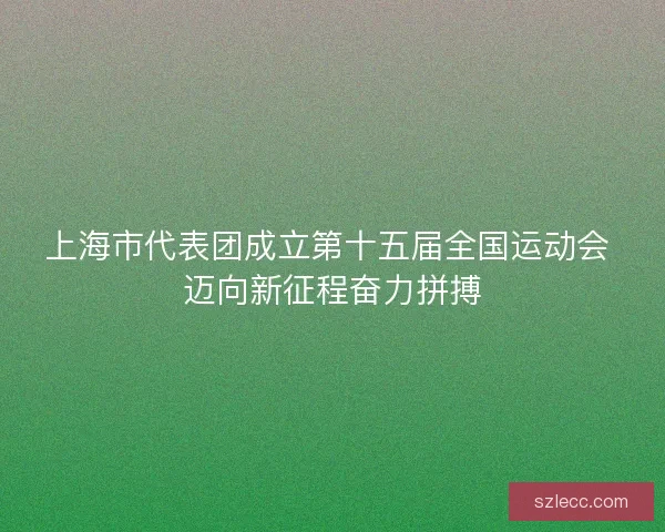 上海市代表团成立第十五届全国运动会 迈向新征程奋力拼搏