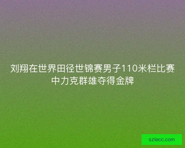 刘翔在世界田径世锦赛男子110米栏比赛中力克群雄夺得金牌